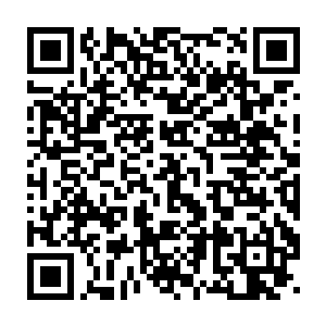 云松子三人就这么看着秦宇从液体到重组再到液体之间来回转变的二维码生成