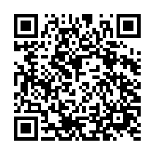 云空这一生都不可能在是我守护家族长阳府的人了二维码生成