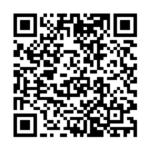 云翘那姑娘得手里便是猛然咻得多出了一条火红长鞭二维码生成