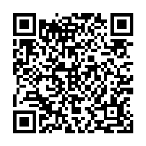 云逸怔怔地看着眼前这张精致而干净得不染一丝凡尘的容颜二维码生成