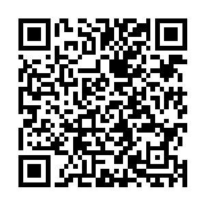 云逸有些无奈地看着满脸可怜巴巴地扯着自己衣袖的灵宝二维码生成