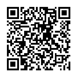 云逸跟云崖还有没有出门的云波跟着裴氏都过来了二维码生成