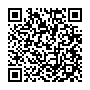 云鹤仙子仔细地打量了一番这个巨大的符箓之后二维码生成