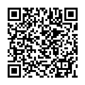 云龙九现方七佛等人都有过交手……胜负难分哪二维码生成