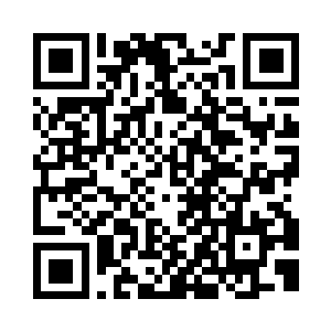 互相凝视的这三秒让我想起了很多东西二维码生成