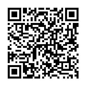 五个中型寨子派出元婴期修士而结丹期修士就有那七个小寨子出二维码生成