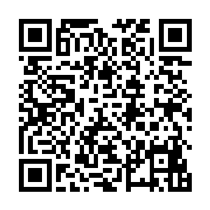 五个传承级的神符师根本就不可能是双翼符虎王的对手二维码生成