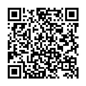 五个域外天魔在距离那瑰丽的水潭大约千米之外停了下来二维码生成