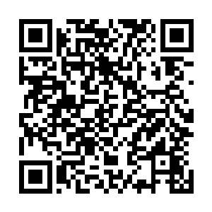 五个族长在瞬间就感觉到了里面的东西释放的威能过了他们二维码生成