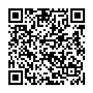 五个族长的身形向着从悬浮山峰内探出来的头颅冲了过去二维码生成