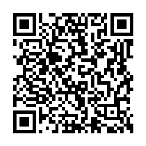 五个老人你一句我一句愣是将夜辜星捧到了天上二维码生成