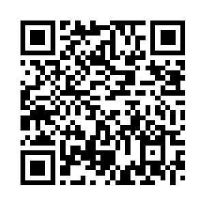 五人开着车到了天龙寺外的树林处二维码生成