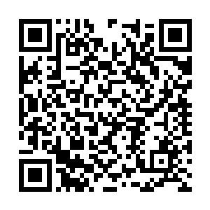 五公子说在下为了定王府会二话不说的牺牲的时候二维码生成