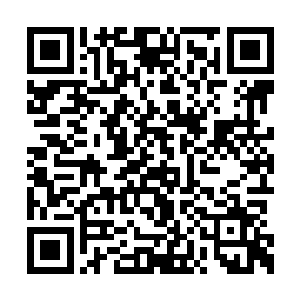 五十亿第一次……五十亿第二次……五十亿成交二维码生成