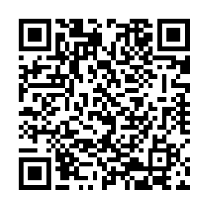 五十六个许家九天玄仙后期巅峰修士露出突破仙君初期二维码生成