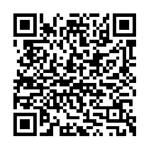 五十年后将有第二座种下世界树子树的乾坤开启二维码生成