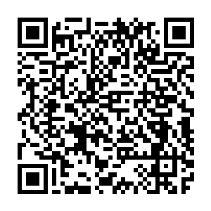 五千年前在我没有来到绝龙山的时候曾见一个少年化出七道分身随后合一二维码生成