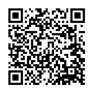 五只圆滚滚好像巨大号蚕宝宝的将近十米长的五只小禅蛇二维码生成