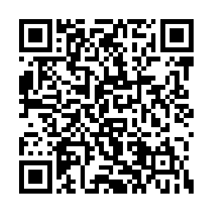 五彩灯泡加上修整成各种动物与童话人物的树丛二维码生成