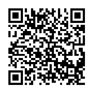 五德书院真人制造的那轮椅上的机关却是一股脑的倾泻了出来二维码生成