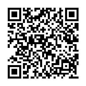 五方人马也已经进入了开始适应他们统领的状态二维码生成