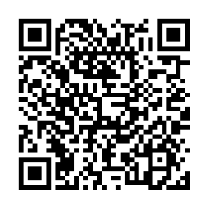 五根利爪打在他手掌上竟是发出铿锵的金属脆鸣声二维码生成