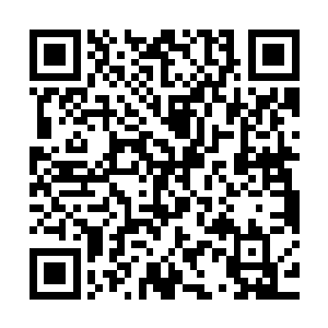 五百粒上品真元果和两百七十三粒极品真元果只能够先保存起来二维码生成