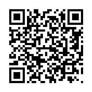 五脏六腑加融合的元神法相演绎诸天二维码生成