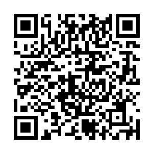 五行吾素的队长司马朵朵就拿着话筒第一个开了口二维码生成