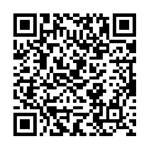 五行混沌元胎大阵是凡间绝无仅有的力量叠加型大阵二维码生成