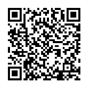 五长老钱文杰连滚带爬已经匆匆跟着钱耀离去的方向逃走二维码生成