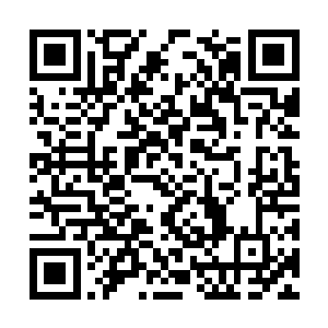 井豪恍然依稀看到那位佝偻枯瘦却目光孤傲的老者二维码生成