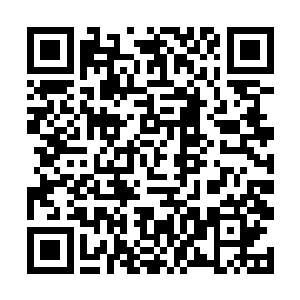 亚历克斯他们这群朋友都不会把其他烦心事告诉雨果二维码生成