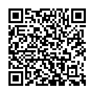 交代了一两句之后便匆匆带着冷峻离开了飞机场二维码生成