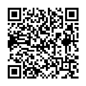 交代了我们要亲眼目睹圣主安全脱离这边才能回去二维码生成