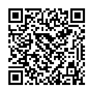 交易会的地址是建立在寒涯堡地下的巨大空间中二维码生成