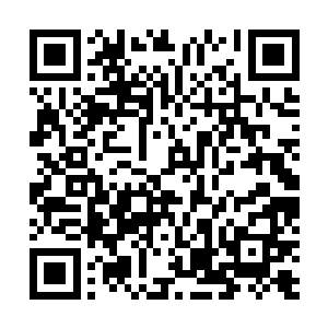 亦是天启组织和地球意志不择手段都想精确锁定他的道理二维码生成