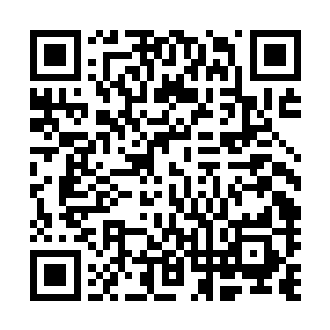 产出的票房与华纳兄弟和公爵工作室几乎没有直接收益关系二维码生成