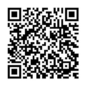 产生了恐怖的变异――这种情况在古代法师遗迹探险中屡见不鲜二维码生成