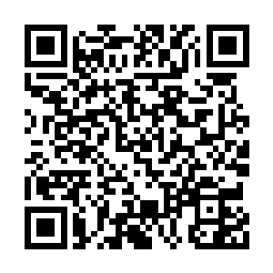 产生的冲击波将天命殿周围的气味全部给冲散了二维码生成