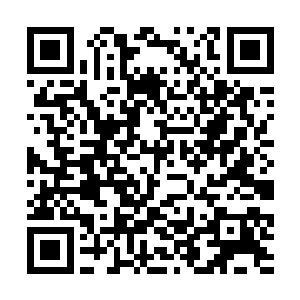 享受与伙伴一起奋斗的友谊和与爱人一起生活的爱情二维码生成