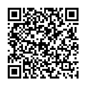 京城里面大大小小的家族子弟全部都自觉的来捧场二维码生成