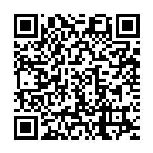 京都城里没有出现一串串的犯官家属被押解到城门口枪决的场面二维码生成