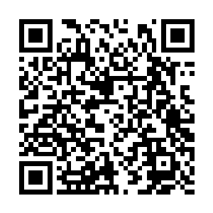 京里谁人不知淳王殿下是九位皇子中最温雅的一个二维码生成