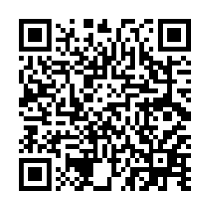 亲们最想先看谁的番外可以在评论区留言或进群告诉安然二维码生成