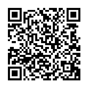 亲和度更高于脉属――这种情况在每次乱世的仙王中都普遍存在二维码生成