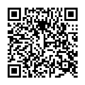 亲手摧毁了他诸多邪魔后裔的楚旬才是他最想杀的人二维码生成