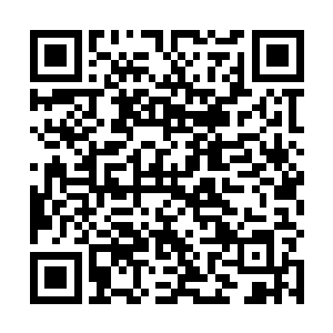 亲手策划了这一行动纲要的葛仁川显得比杨晨紧张多了二维码生成