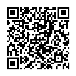 亲眼感受到苏凡高超车技的赵紫琪已经惊骇的合不拢嘴二维码生成