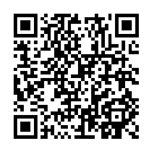 亲眼看着警卫员老张带着人将宝镜请到席上坐定二维码生成